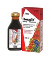 Floradix-500 ml (SALUS)