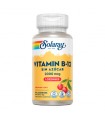 Vitamina B12 2000 mg -90 comprimidos sublingual (SOLARAY)