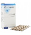 Glycabiane-60 cápsulas (PILEJE)