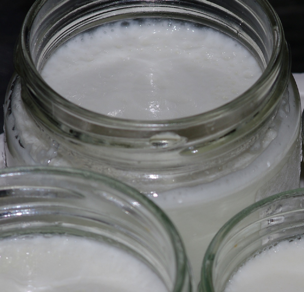 Yogur sin lactosa casero (dieta SCD)